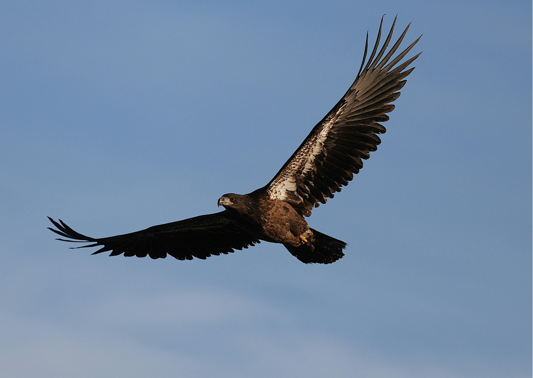 Wir verstehen Strömungen – in der Luft, im Wasser, im Blut